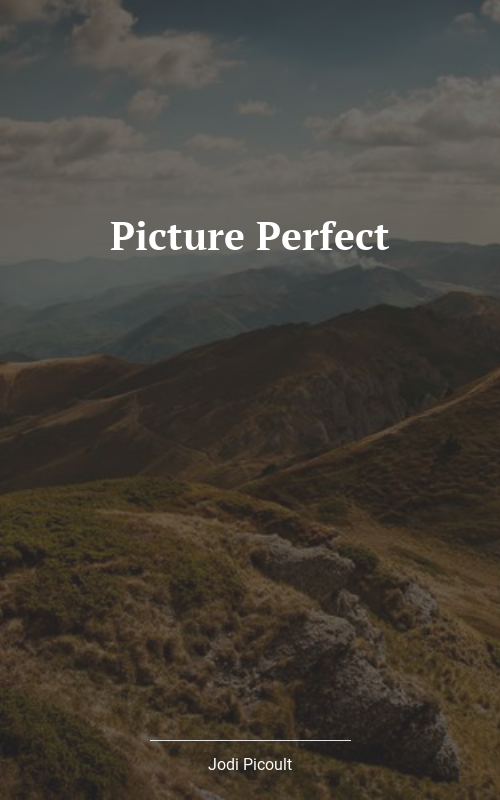 Ein Perfektes Bild