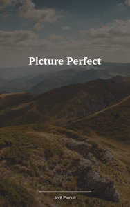 Ein Perfektes Bild