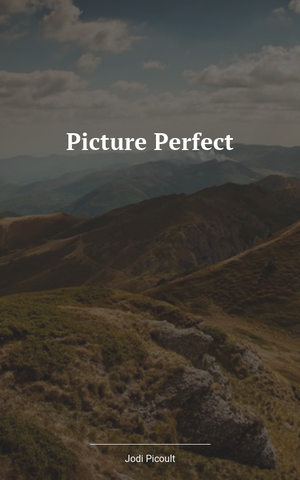 Ein Perfektes Bild